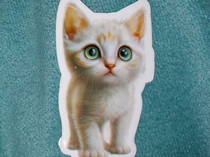 Cat Cute nice vinyl sticker no refunds regular mail only Very nice quality!