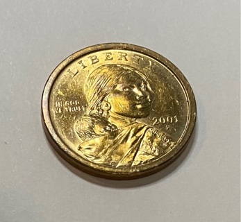 Sacagawea Golden Dollar Coin!