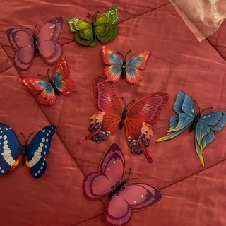 Butterflies 