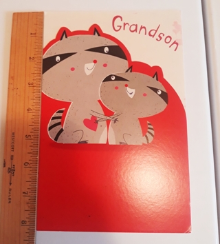 Valentine's Day Card (Raccoon) for Grandson *READ ALL