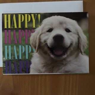 Puppy Birthday Card