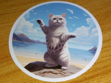 Cat Cute new one vinyl sticker no refunds regular mail only Very nice win 2 or more get bonus