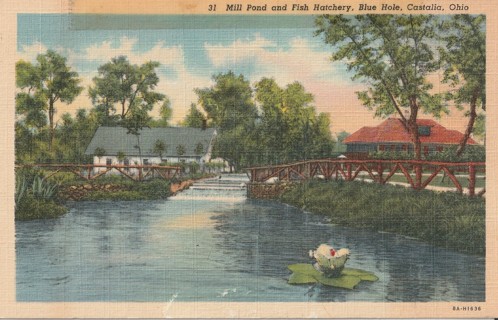 Vintage Unused Postcard: c: Mill Pond & Fish Hatchery, Blue Hole, Castialia, OD