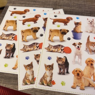 3 dogs and cats stickers 