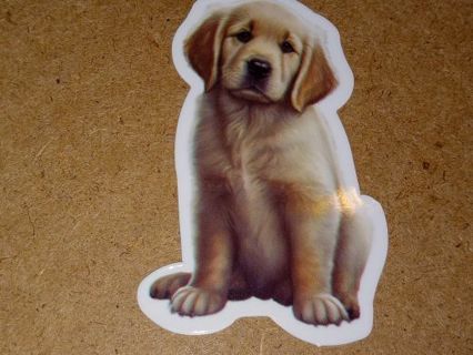 Adorable nice vinyl lab top sticker no refunds regular mail high quality!