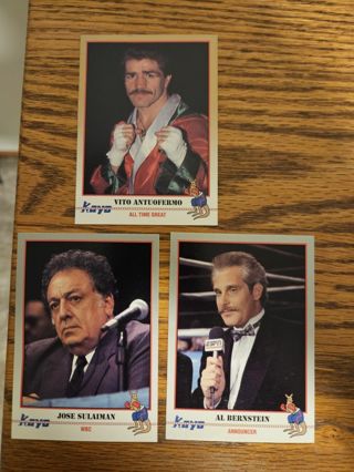 1991 KAYO Boxing trading cards #124,#126,#127
