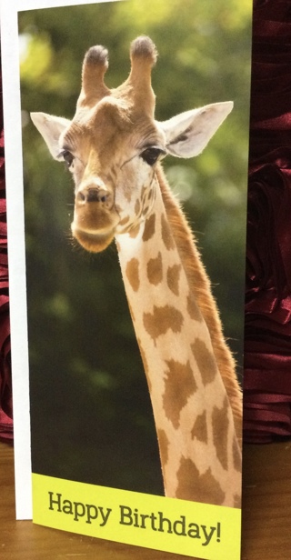 Happy Birthday Giraffes Card(no message inside)