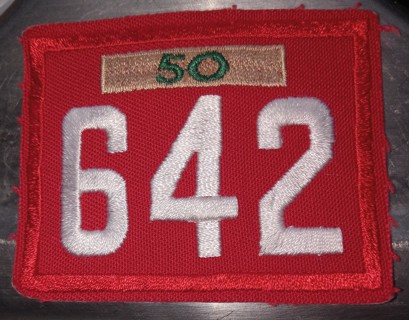Troop 642 with 50th anniversary bar patch boy scout scouts bsa 