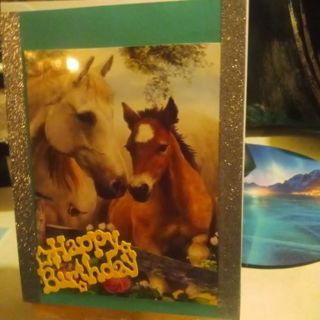 Happy Birthday (Mare & Foal) -Design Blank Note Card