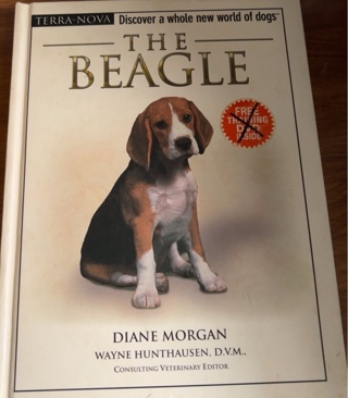 The Beagle by Diane Morgan 