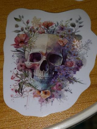 Beautiful one nice vinyl sticker no refunds regular mail only Very nice quality!