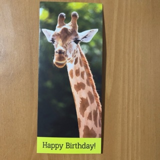 Giraffe Birthday Card ~ Last One !