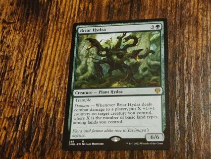 Magic the gathering mtg Briar Hydra rare card Dominaria United