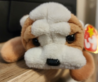 NEW - TY Beanie Baby - "Wrinkles"