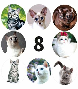 ➡️⭕(8) 1" CUTE CAT STICKERS!!
