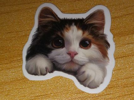 Cat Cute one new nice small lab top sticker no refunds regular mail high quality!