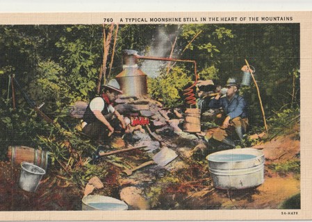 Vintage Unused Postcard: c: Moonshine Still