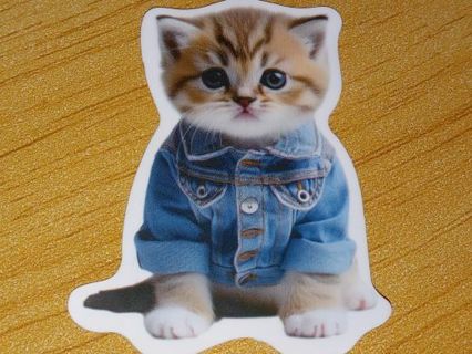 Cat 1⃣ New Cute vinyl sticker no refunds regular mail only Very nice quality!