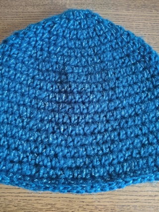 Hand Crocheted Slouch Hat 