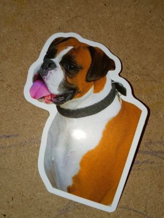 New Cute vinyl sticker no refunds regular mail only Very nice quality!