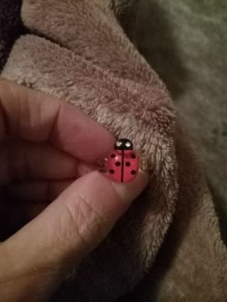 Red lady bug adjustable ring