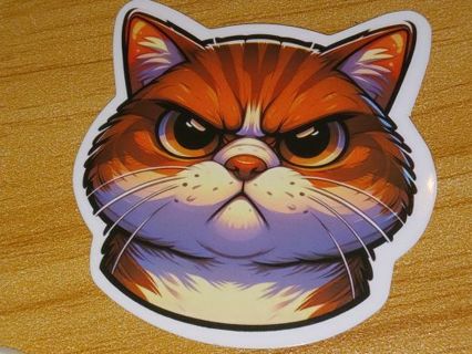 Cat big Cute vinyl one sticker no refunds regular mail only win 2 or more get bonus