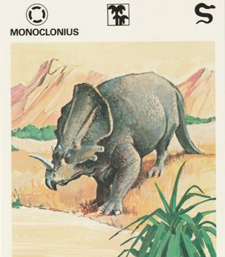 Vintage 1975 Leisure Books Animal Card: crdgin2: MONOCLONIUS