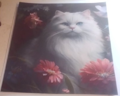 Beautiful White Persian Cat Magnet