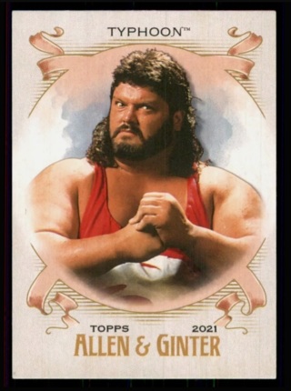 2021 Topps WWE Heritage - Typhoon Allen & Ginter Insert AG-22