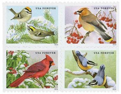 40 Brand New Song  Birds  In Snow Forever Stamps