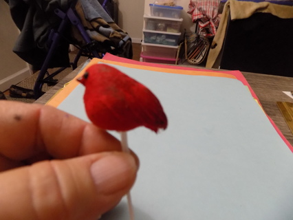 Little red bird on a stick pick 1 1/2 long for crafts