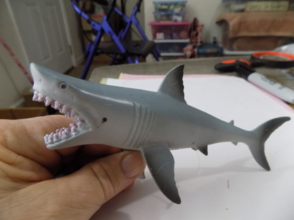 6 inch shark showing lots of teeth