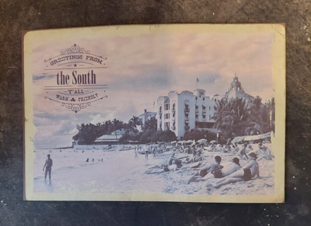 Greetings From The South Postcard 