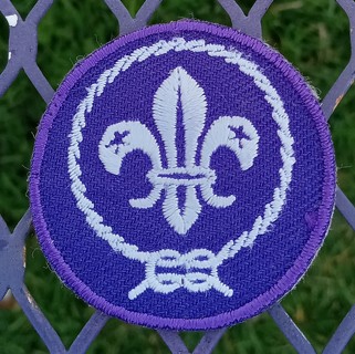 Boy scout scouts bsa world crest scout association patch
