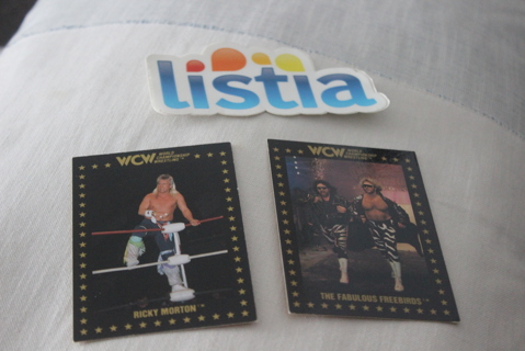 (2) 1991 WCW Championship Marketing Wrestling Cards Fabulous Freebirds Ricky Morton NWA WWF WWE