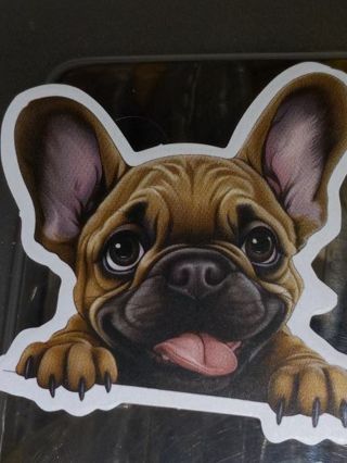 Dog Cute new 1⃣ vinyl lap top sticker no refunds regular mail very nice quality