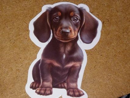 Dog Cute one nice vinyl sticker no refunds regular mail only Very nice win 2 or more get bonus