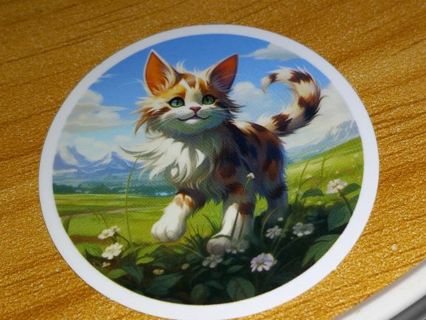 Cat Cute one new small vinyl sticker no refunds regular mail only Very nice