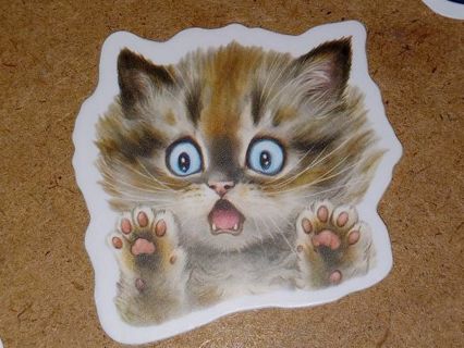 Cat Cute one new small vinyl lab top sticker no refunds regular mail high quality!