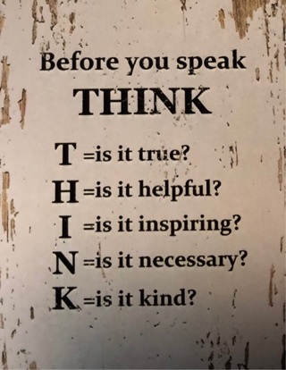 Think before you speak - 2 x 3” MAGNET - GIN ONLY