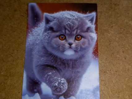 Cat Cute nice one vinyl sticker no refunds regular mail only Very nice quality!