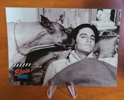 1992 The River Group Elvis Presley "Elvis Movies" Card #89