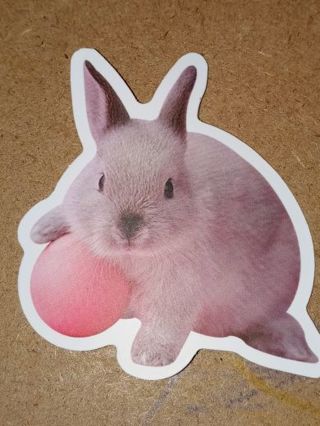 Bunny Cute new vinyl sticker no refunds regular mail only Very nice these are all nice