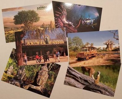 14 Unused Disney World Postcards ~ Animal Kingdom / Epcot / Main Park