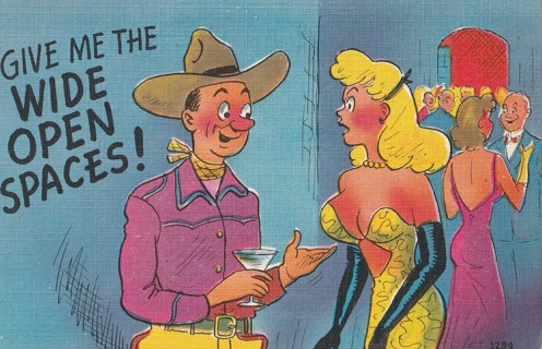 Vintage Unused Postcard: Comic: Give Me The Wide Open Spaces