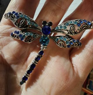 Beautiful Dragonfly Pin