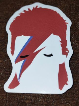 New David Bowie Ziggy stardust laptop computer band sticker water bottle Xbox PS4