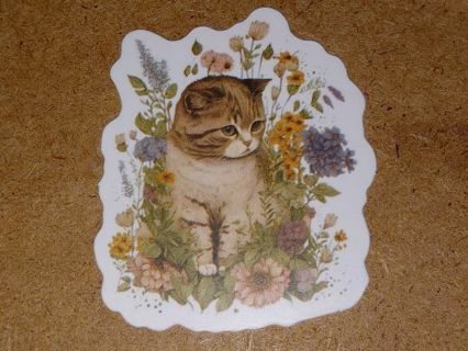 Cat New one Cute vinyl sticker no refunds regular mail only Very nice !