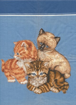 3 Really Cute Kittens on this Pillow Top, 100% Cotton, 17" Square - PIL-030a