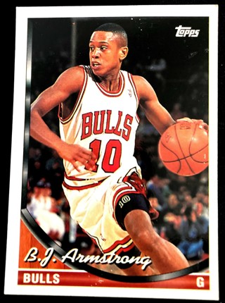 1993-94 Topps Gold - B.J. Armstrong #174